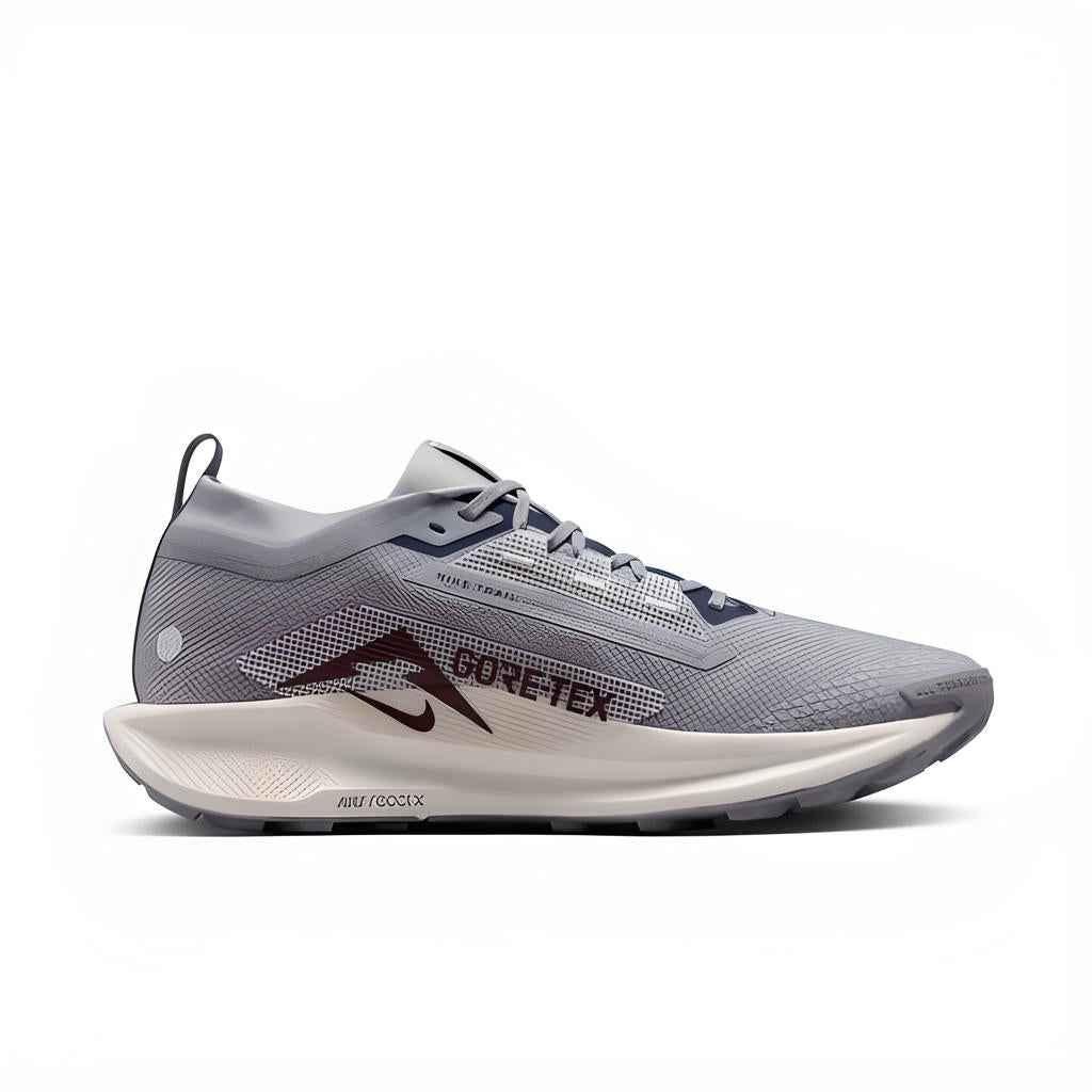 Nike Pegasus Trail 5 GORE-TEX