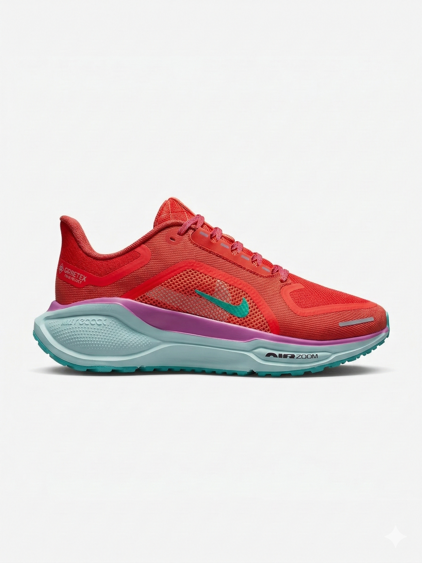 Nike Pegasus 41 GORE-TEX