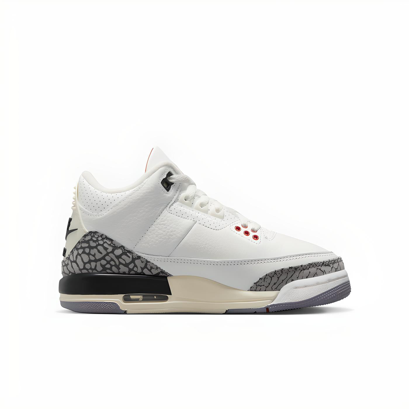 Air Jordan 3 Retro