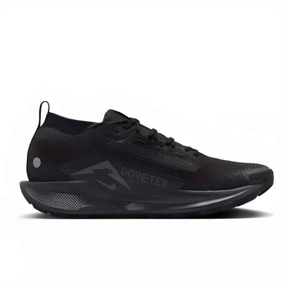 Nike Pegasus Trail 5 GORE-TEX